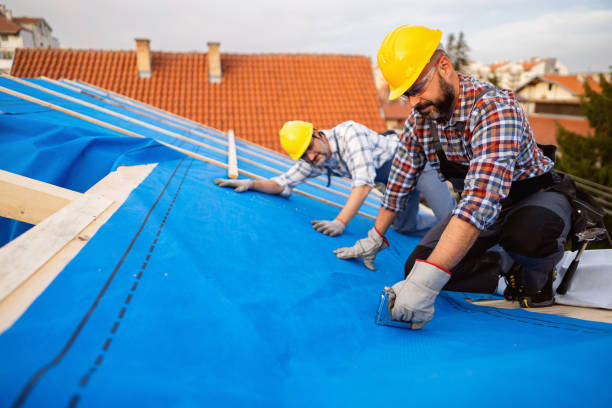 Gutter Installation and Roofing in Mount Vista, WA